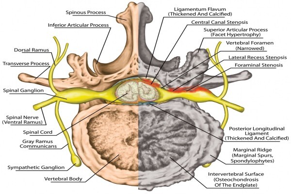 Dr Deon Lamprecht Cape Town Netpages